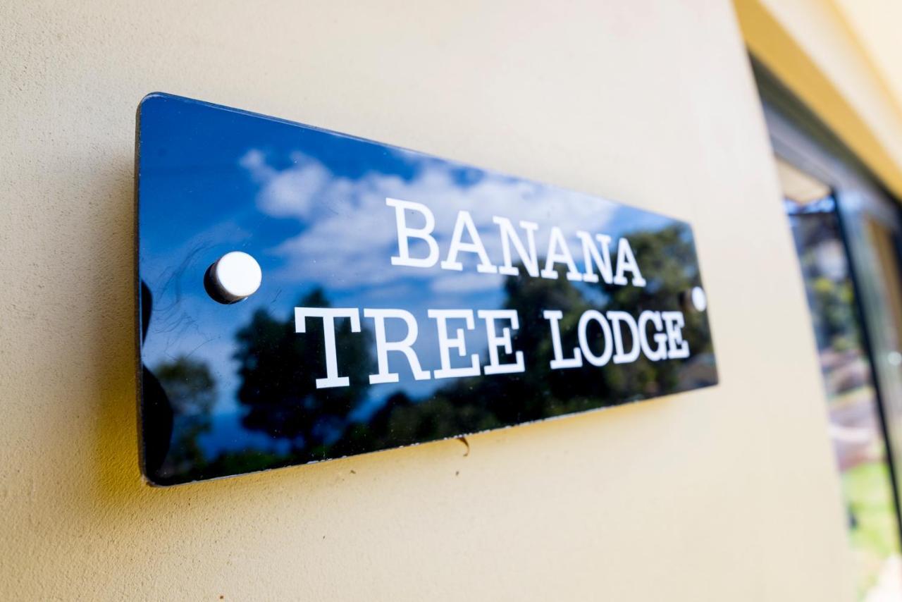 Banana Tree Lodge Jamestown Zewnętrze zdjęcie